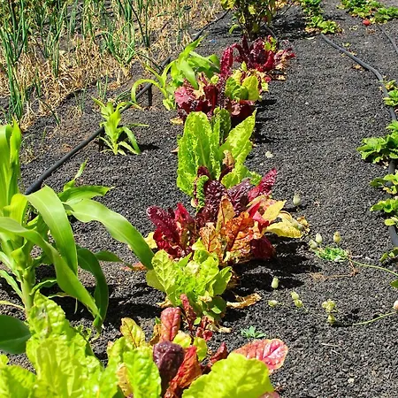 Casa Angeles 2 Casa vacanze