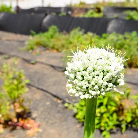 Casa Angeles 2 Σπίτι διακοπών Mozaga