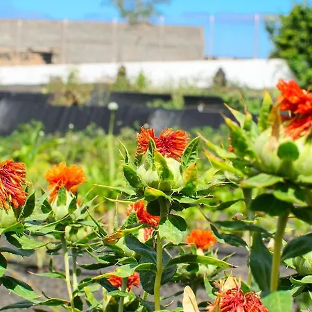 Σπίτι διακοπών Casa Angeles 2 Mozaga